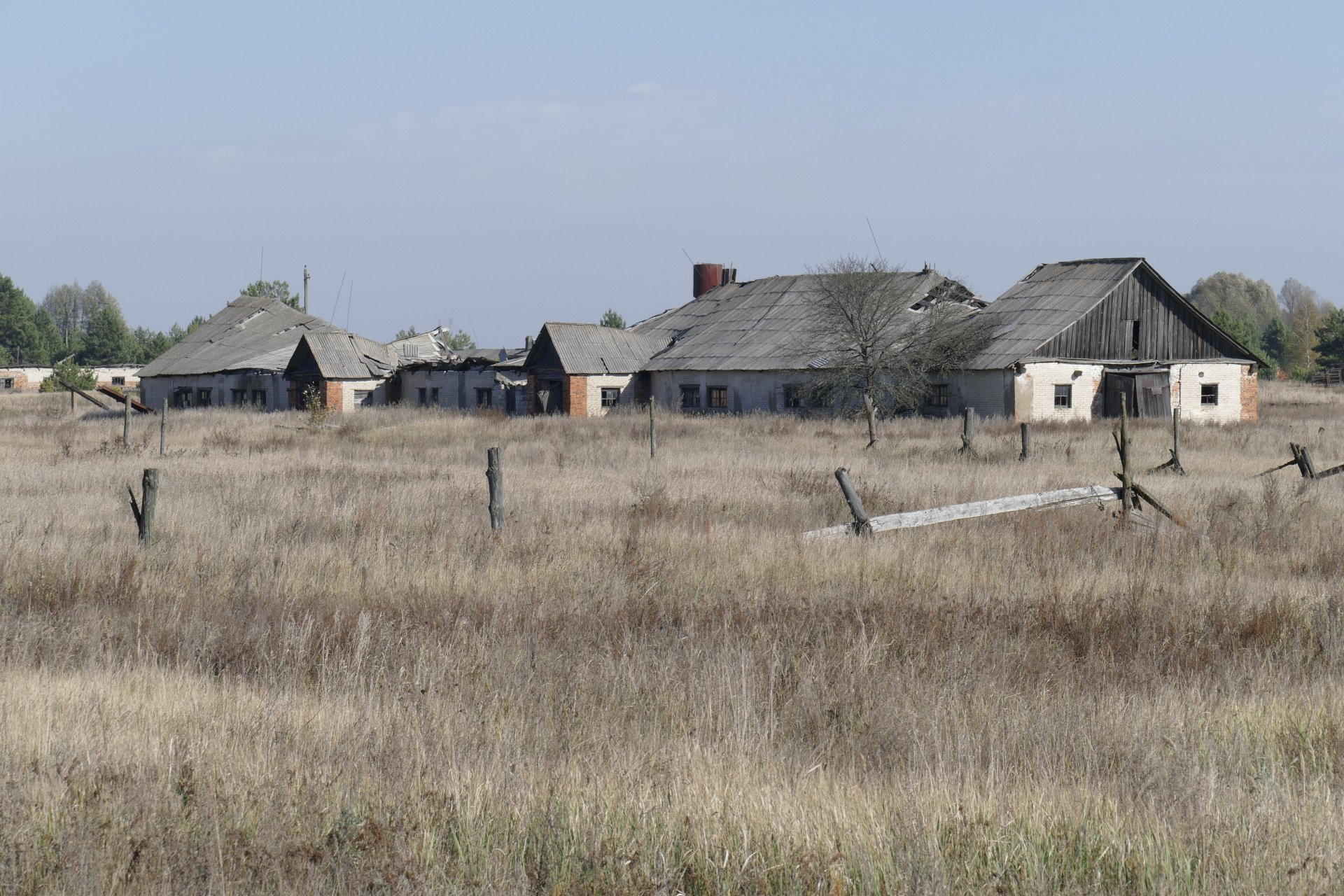 Pastoral Apocalypse