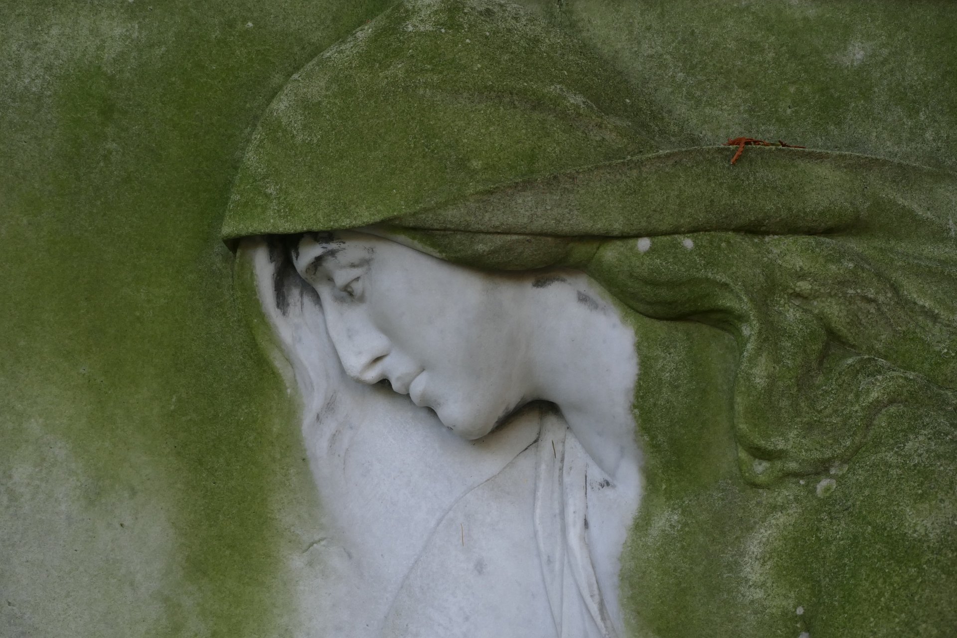 14x Monochrome & a Patch of Green